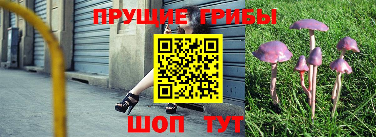Псилоцибиновые грибы мухоморы  Вход с VPN  Нижнекамск 